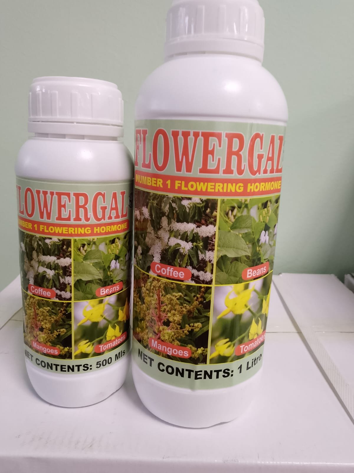 Maximize Crop Yields with Flowergal Flowering Hormone  Enhance Flower and Fruit Formation