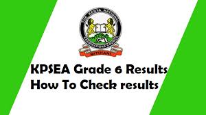 How to Access Your Child’s KPSEA Results Online: A Step-by-Step Guide